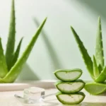 Acemannan in Aloe Vera